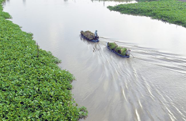 nhung-khoanh-khac-hanh-phuc