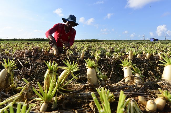 nhung-khoanh-khac-hanh-phuc