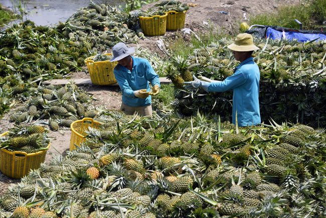 nhung-khoanh-khac-hanh-phuc