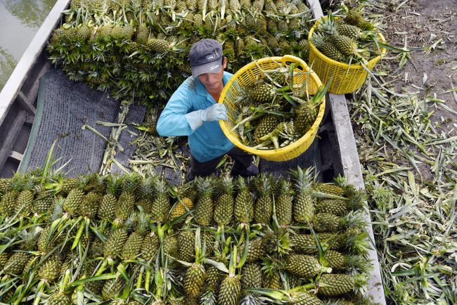 nhung-khoanh-khac-hanh-phuc