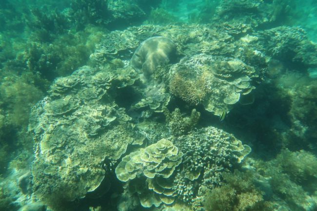 quan-trac-danh-gia-ran-san-ho