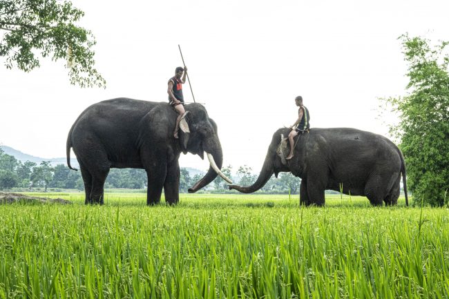 nhung-khoanh-khac-hanh-phuc