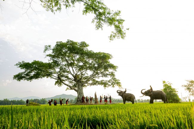 nhung-khoanh-khac-hanh-phuc