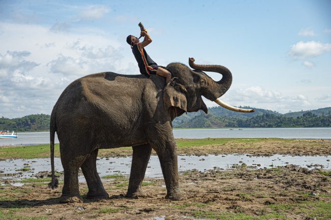 nhung-khoanh-khac-hanh-phuc