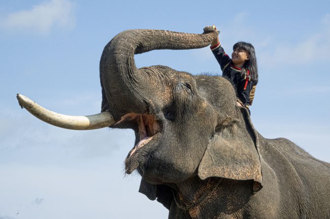 nhung-khoanh-khac-hanh-phuc