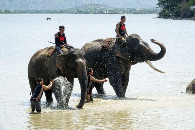 nhung-khoanh-khac-hanh-phuc