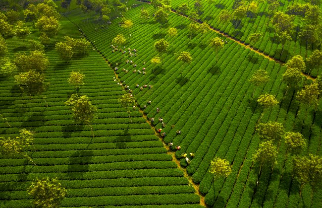 nhung-khoanh-khac-hanh-phuc