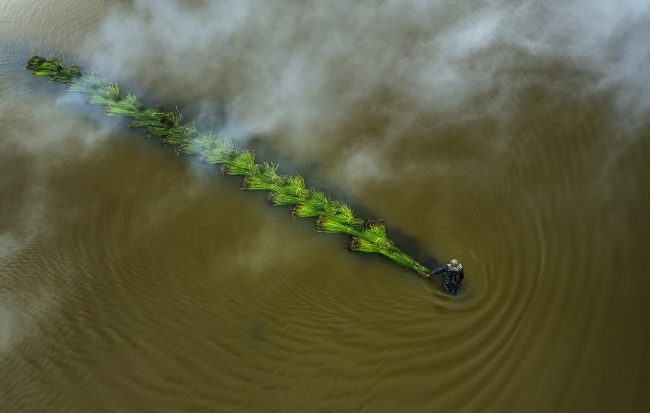 nhung-khoanh-khac-hanh-phuc