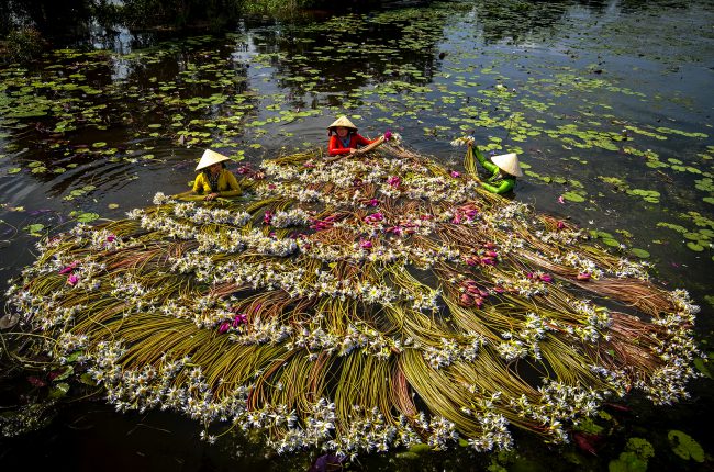 nhung-khoanh-khac-hanh-phuc