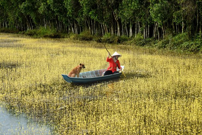 nhung-khoanh-khac-hanh-phuc