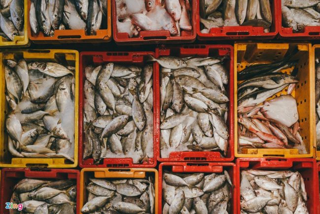 hai-cho-dau-moi-dung-hoat-dong-tphcm-co-du-nguon-cung-thuc-pham