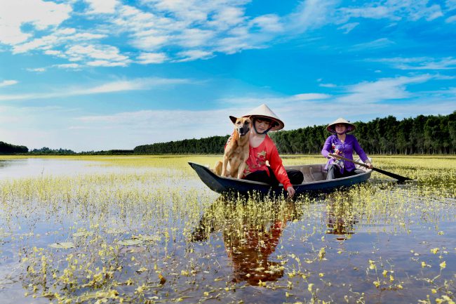 nhung-khoanh-khac-hanh-phuc